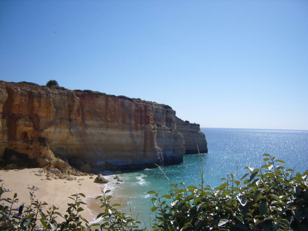 Quinta Do Pinheiro Manso - Holidays Villa - Marinha Beach Carvoeiro  Exterior photo